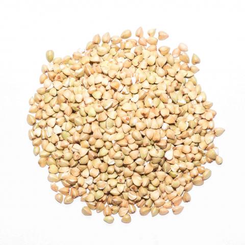 organic buckwheat