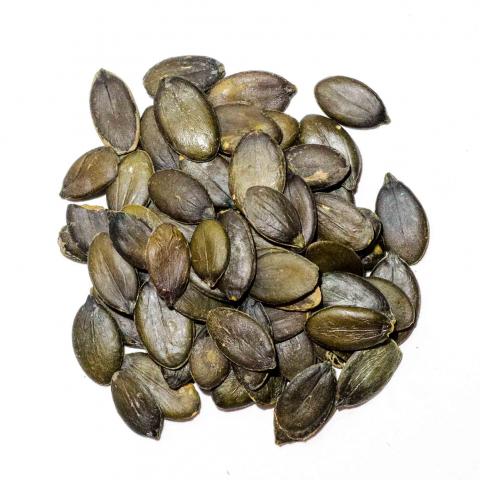 organic styrian pumpkin seeds