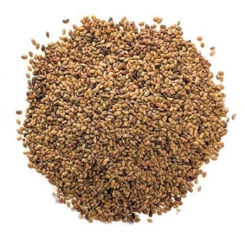 Alfalfa Sprouting Seeds