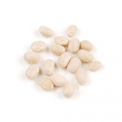 Navy Beans