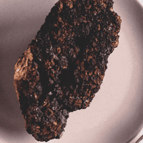 Chaga Mushroom