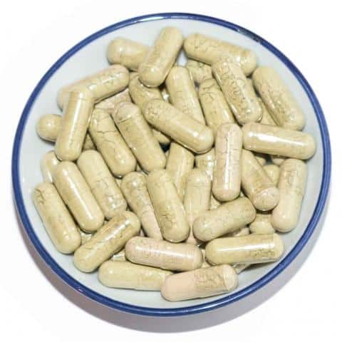 Kelp Capsules