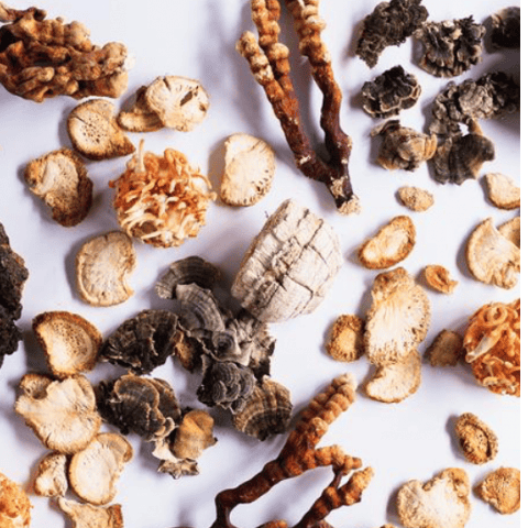 Medicinal Mushroom Blend
